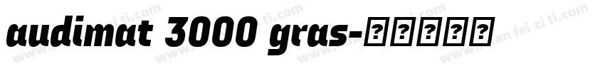 audimat 3000 gras字体转换